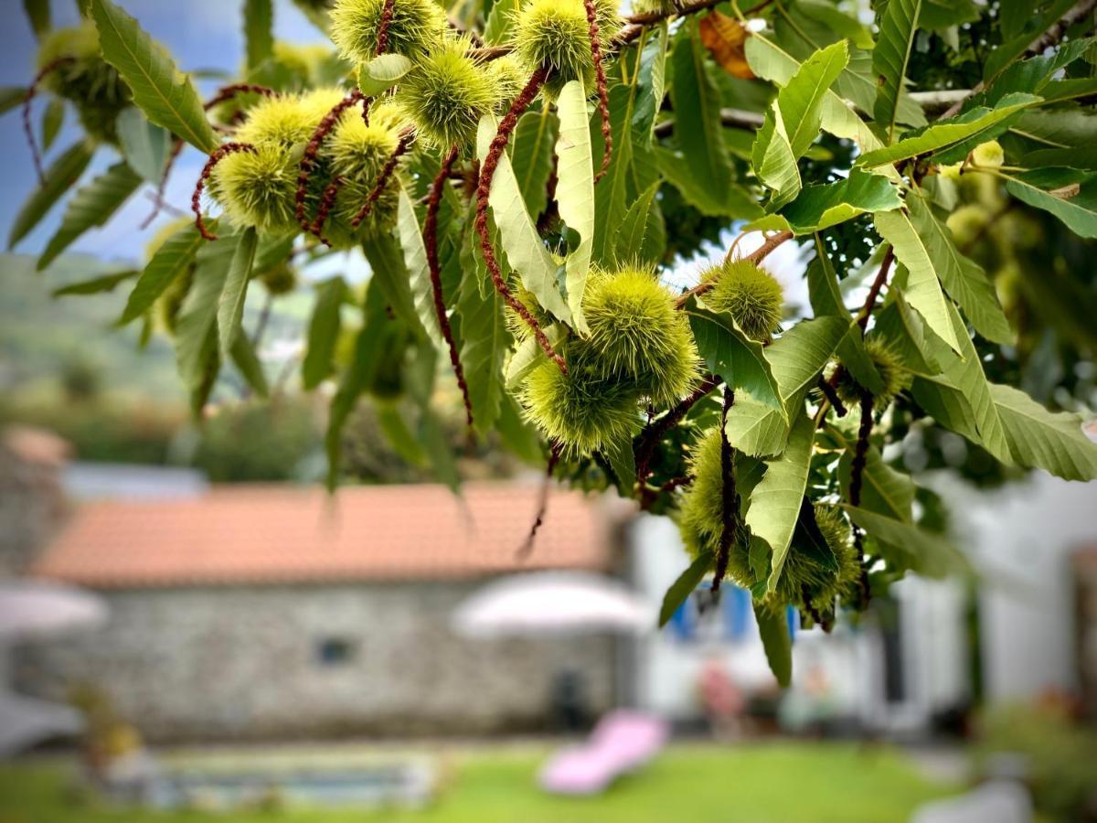 Casa Do Milhafre - Villaverde Azores Feteiras ภายนอก รูปภาพ